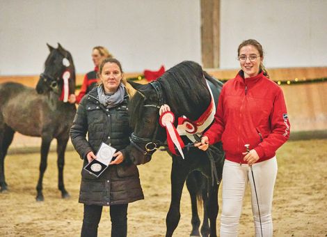 Starke Teilnehmer in allen neun Rassegruppen