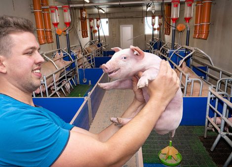 Haltungsformen, Einbrüche, Ringelschwanz und KI