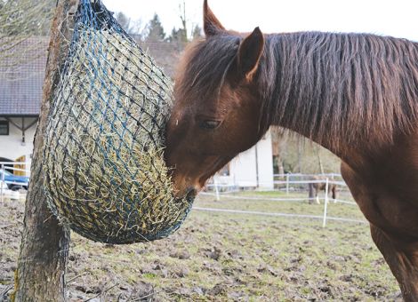 Heunetze sind besser als ihr Ruf
