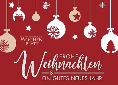 Frohe Weihnachten – 