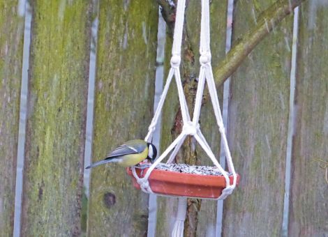 Kuschelnest und Futterfülle bieten