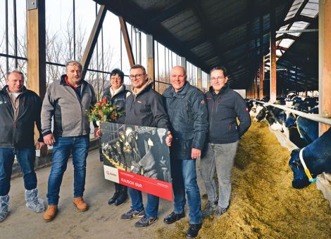 Stabile Milchwirtschaft im Landkreis Fulda