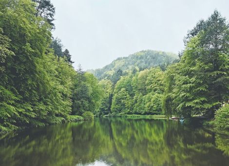 EU-Naturschutz und Gewässerunterhaltung