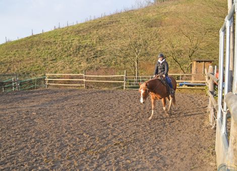 Auf Zuschlagstoffe aus Kunststoff verzichten?
