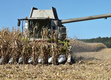Der Regen kam gerade noch rechtzeitig