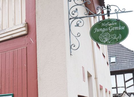 Ausgeklügelte Fruchtfolge beim Gemüsebetrieb Jung