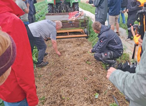 Transfermulch – direkt vom Acker aufs Gemüsebeet 