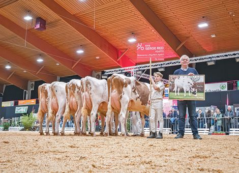 Qnetics-Vererber im Rampenlicht