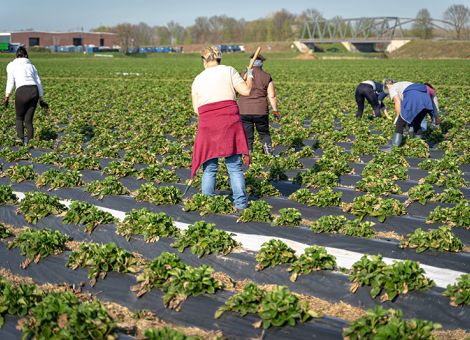 CDU will Ausnahmen vom Mindestlohn
