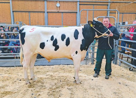 Großangebot in Alsfeld mit 100-prozentiger Verkaufsquote 