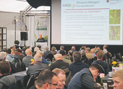 Pflanzenschutz im Obstbau – Ohrwurm, Vögel, Pheromone