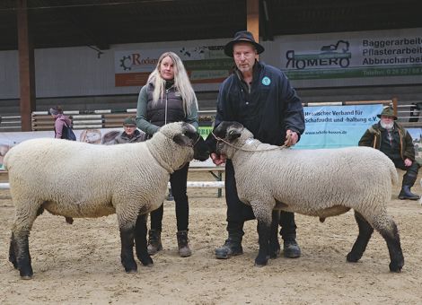 Der Tag der Schwarzköpfe 