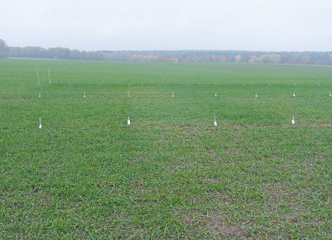 Die Wirkstoffwahl auch an Resistenzen ausrichten