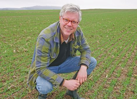 Maßnahmen bei resistentem Ackerfuchsschwanz in der Praxis