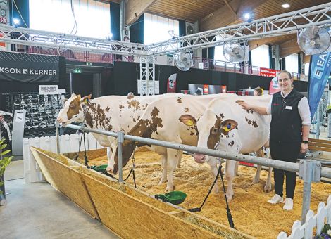 Interessantes für die Rinderhaltung auf der HeLa