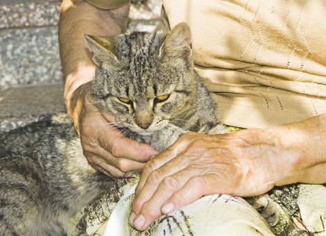 Ein Miteinander ohne Vorbehalte