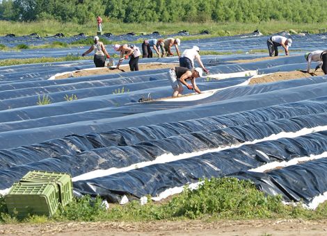 Abschläge zum Mindestlohn sind möglich