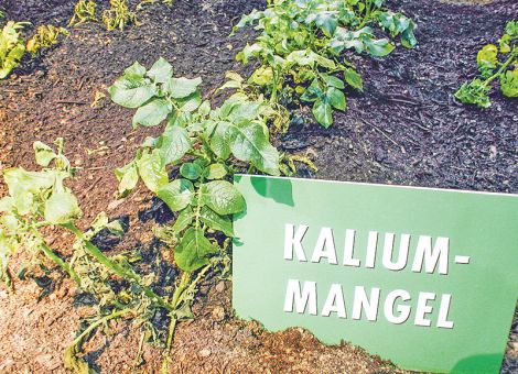 Die Qualität ist entscheidend