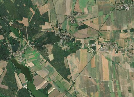 Erntestatistik aus dem Weltraum dank Künstlicher Intelligenz