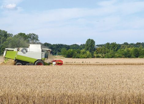 Strukturwandel und Innovation an der Seite der Landwirte