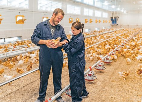 Informationsabend zur Newcastle Disease