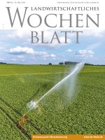Ausgabe 13/2026