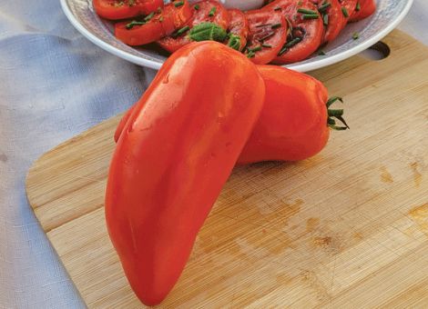 Neue Sorten von Voltz Profi