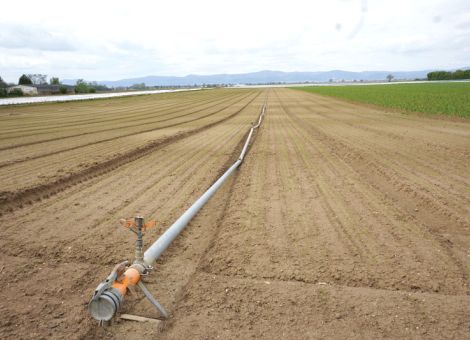 Langfristig wird mehr Wasser benötigt