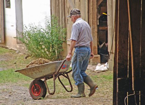 Bandscheibenvorfall vorbeugen und behandeln
