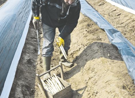 SPD: Werden uns das genau ansehen