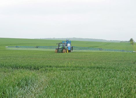 Getreide aufrecht bis zur Ernte führen