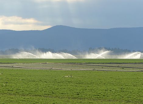 Mehr Wasser für die Landwirtschaft 