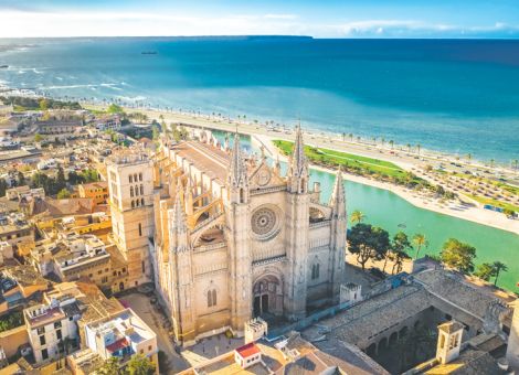 Die landwirtschaftliche Seite von Mallorca entdecken