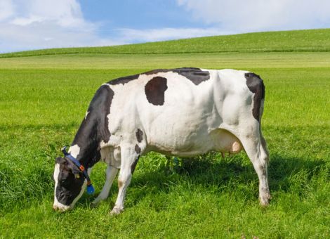 Milchkontrollverband West e.V. ist nun rechtskräftig