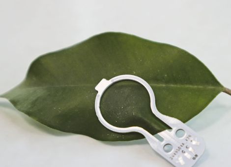 Ein Clip erkennt den Trockenstress der Pflanze übers Blatt