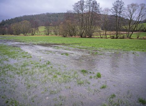 Umweltminister Jung erlässt Biber-Billigkeitsrichtlinie