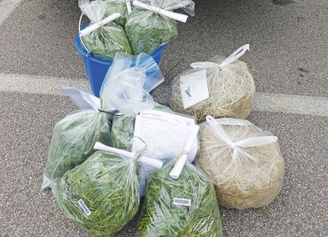 Reifeprüfung zum ersten Schnitt