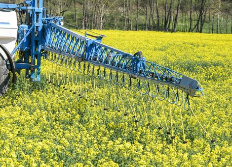 Versuche zeigen ein differenziertes Bild