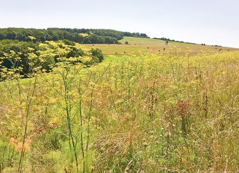 Welche Kombinationen sind möglich?