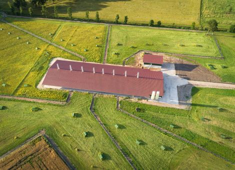 Geflügelausläufe ganzheitlich im Blick behalten