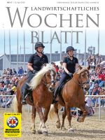 Ausgabe 17/2026