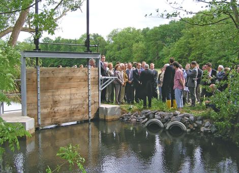 Wo die Landwirte den Förstern helfen