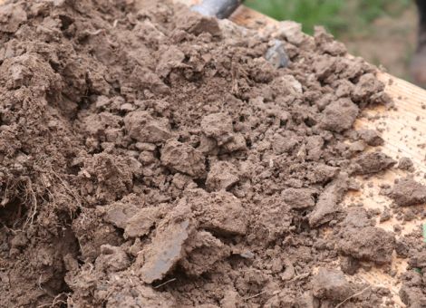 Etwas tiefer in den Boden schauen