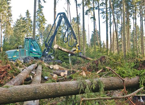 Entwaldungsrichtlinie nach wie vor zu große Belastung 