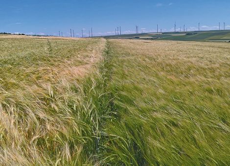 Wie groß ist das Kombinations-Potenzial?