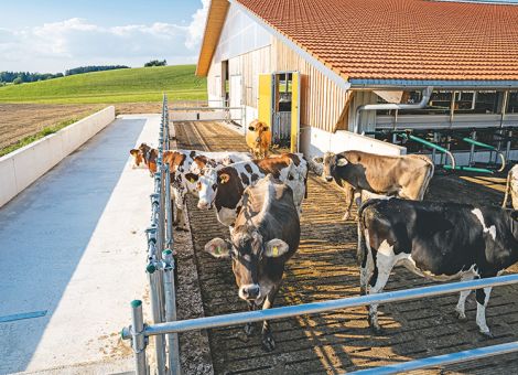 Novelle kann echte Erleichterung für Tierhalter sein