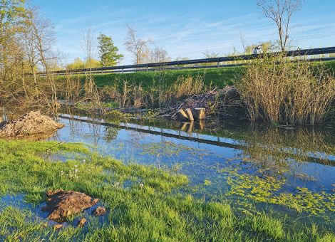 Anerkennung für Maßnahmen des Landes