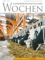 Ausgabe 19/2026