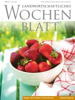 Ausgabe 21/2026