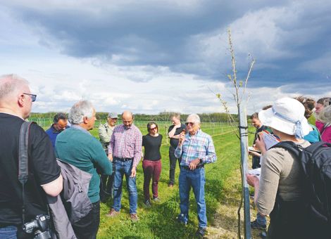 Mandeln und Haselnüsse – die Alternative zum Weinbau?